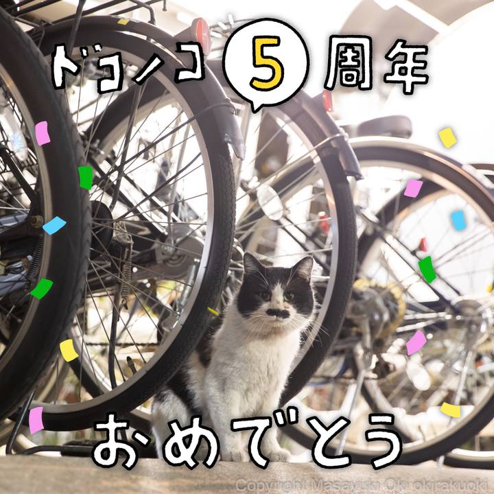 D6f0ff2a 2c08 42a1 9d83 feb97a803d0e 1622858010009