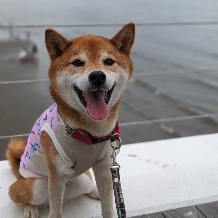 D6f1006c 48c7 4d6e b050 0ed8bf692ac7 1717987448927