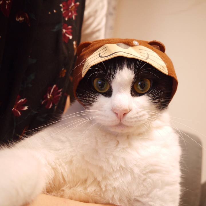 D6f11bbf e7bd 400f 82cc 2f7095a2d9e7 1656423765719