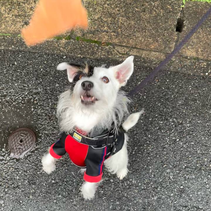 D6f13609 0b8d 406c 91eb 1863bac00972 1668993573970