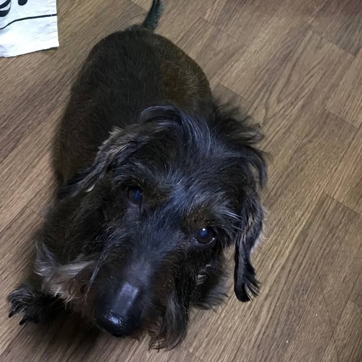 D6f13a9b 9e3e 4b9c 9569 58c9c1f3050c 1518530988073