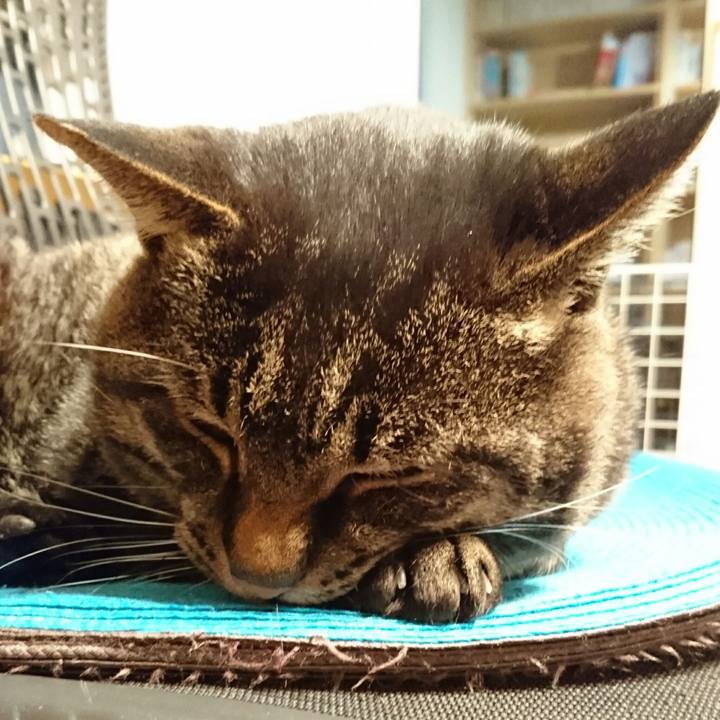 D6f1607b cca3 40df baf4 2ce2c3cec3cc 1510322263574