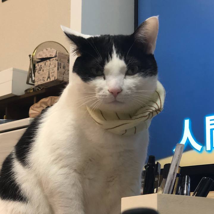 D6f19a40 9f7c 43b9 b682 3c906c1d5c17 1519368752715