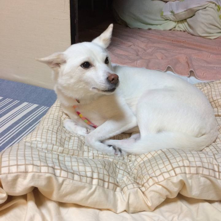 D6f1b7dd 134e 455c b84f d7f8564a0489 1542710819839