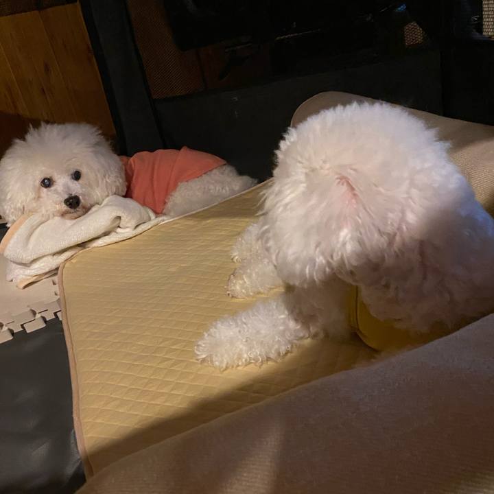 D6f1daab e267 4755 aff4 bbb342ec609b 1691416077575