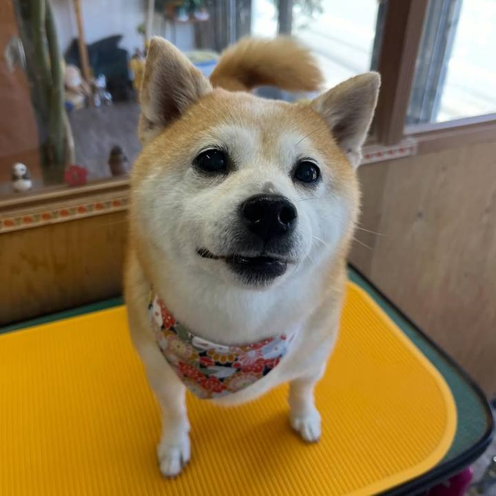 D6f1e04a cbae 445e 9676 95b7898998dd 1767057081784