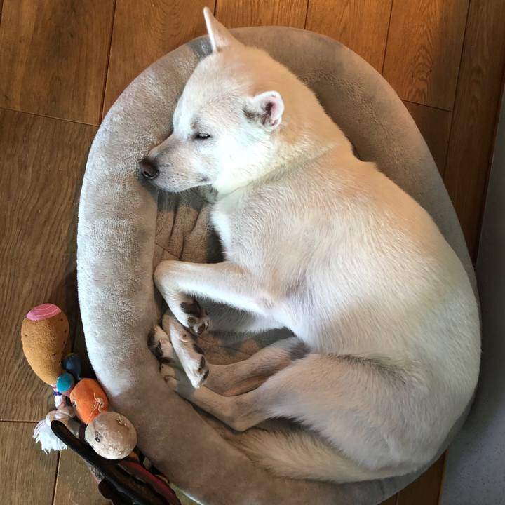 D6f2640c e255 4555 bdd8 6bc26ec30705 1596775928857