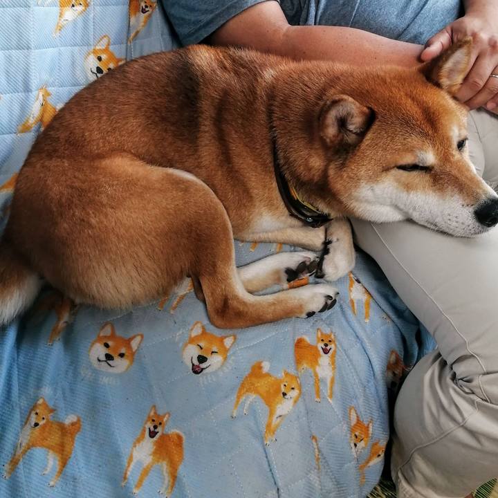 D6f271bf 675b 411e 9c25 92a892297be5 1626172095119