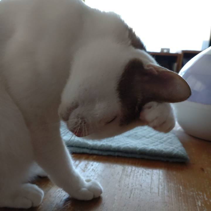 D6f28972 8a13 494b 83a8 5db6f8a96bb6 1679349227002