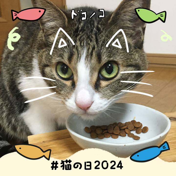 D6f29a4a 6dac 45b6 b1ca 29d6c9649e45 1708601146643