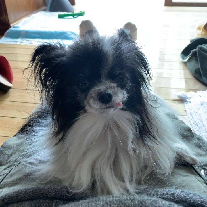 D6f2b40c 12fa 450e 94f8 955277cc54e1 1587990208520