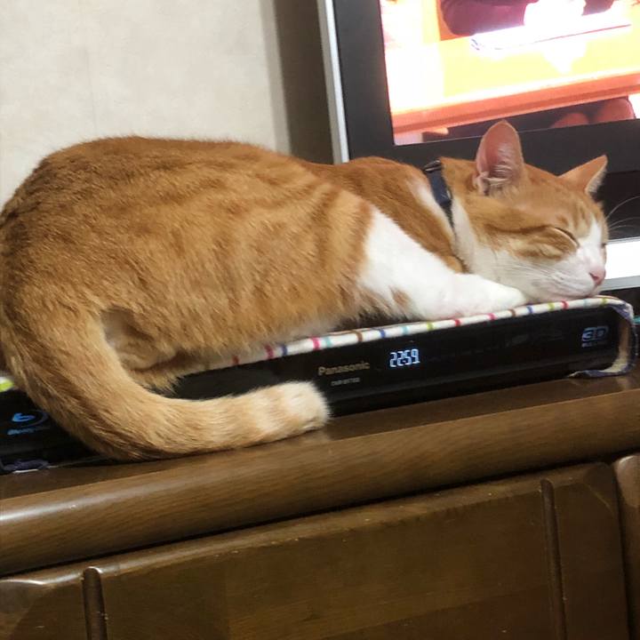 D6f2b4fa 7ba7 4e16 878b 45b0ae1460c4 1537970533836