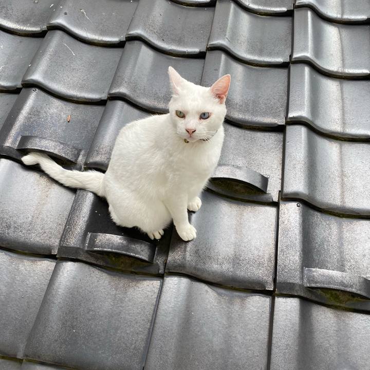 D6f2e1cd 2439 4465 960c f0c6babb0e88 1598743299811