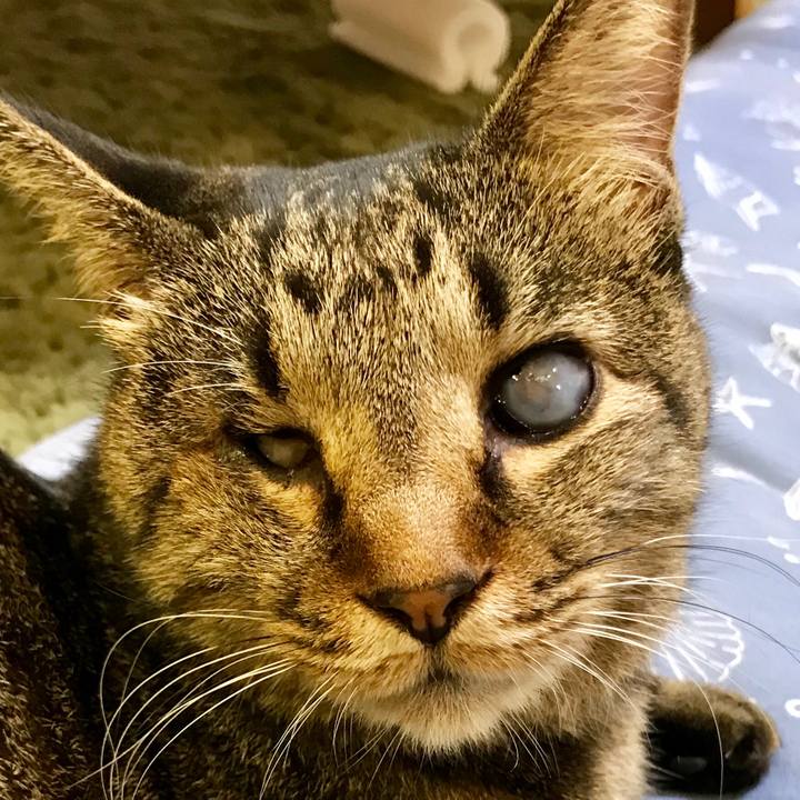 D6f2e4d2 3a62 401f 9be7 423ad1780fd3 1538649254651