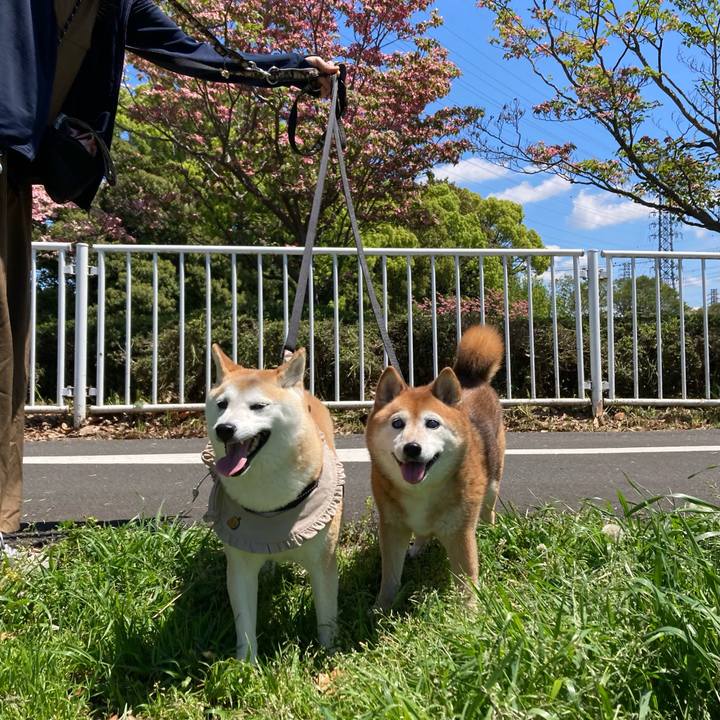 D6f2e67f 7420 48d5 bb4e f0740484a9cd 1714036735347