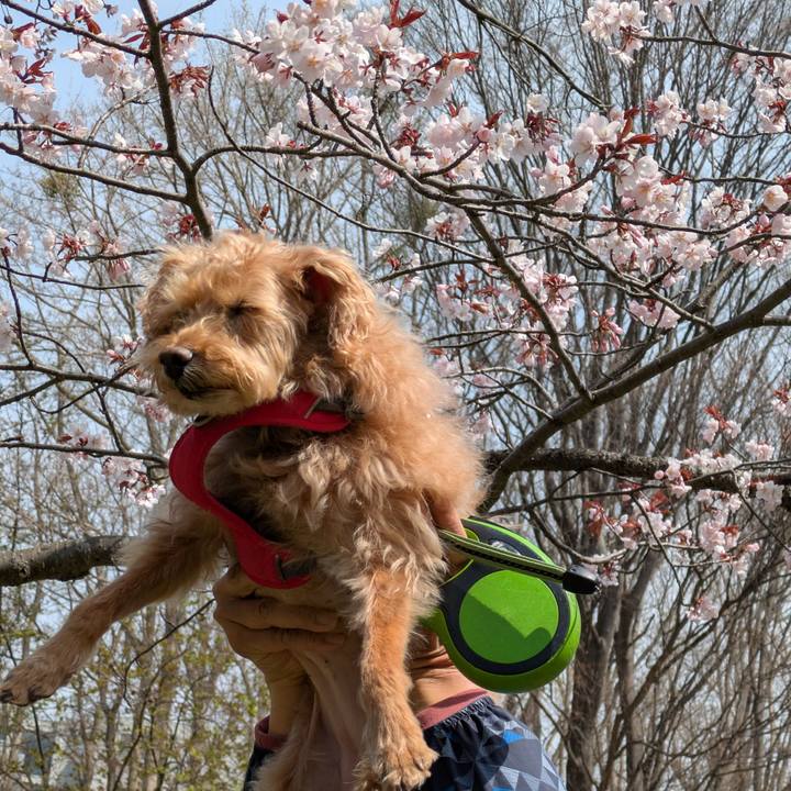 D6f2f507 d3c1 47d8 837e 80e7a0e1ac48 1745827520233