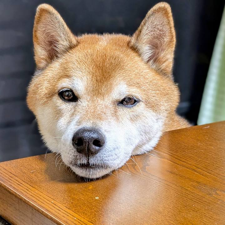 D6f2f50f 95c6 4e9b 8f06 dd2d9694f478 1758599777156