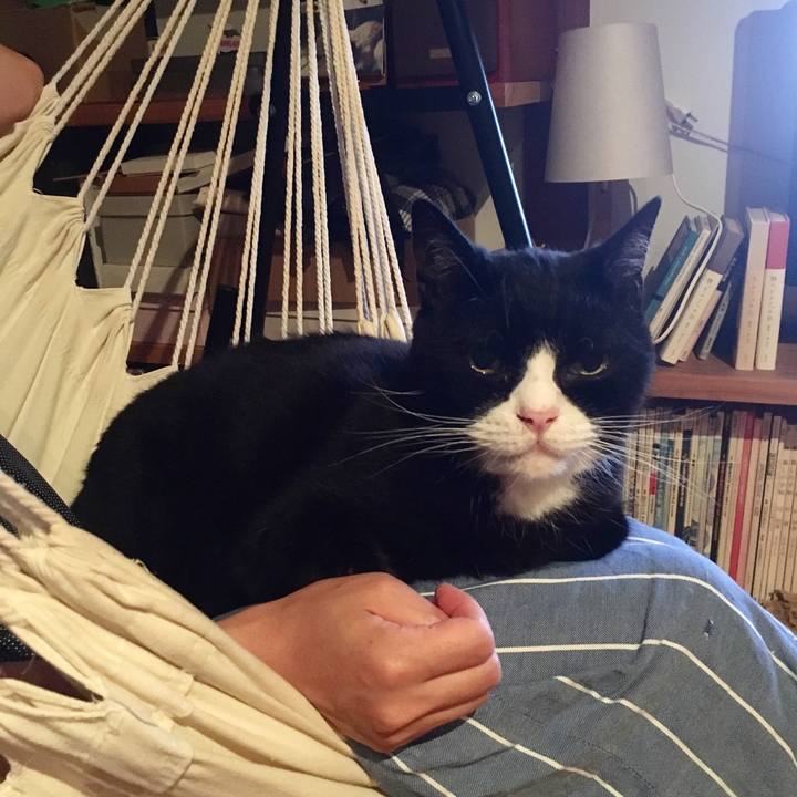 D6f3336e cdc2 4049 8236 545e05ba1a8e 1563541098025