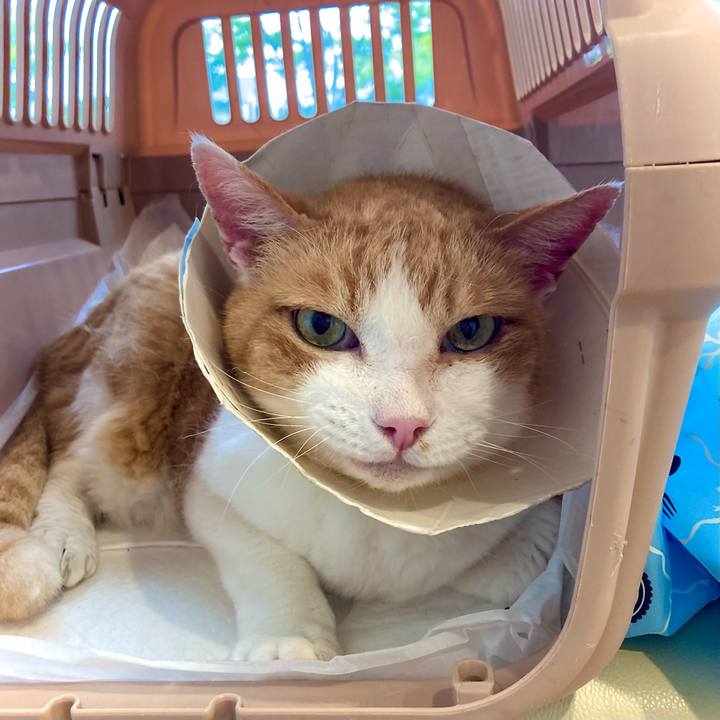 D6f3980e 973b 492d b8a9 322c87f6e61b 1724409935000