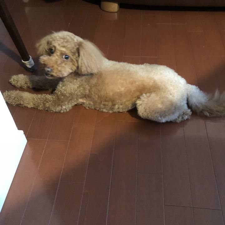 D6f3b82e b5df 4475 8c15 1d8dc0a62f1b 1511076597230