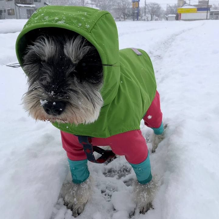 D6f413ae d889 487d bcbb 096c19c3e6e7 1644127598987