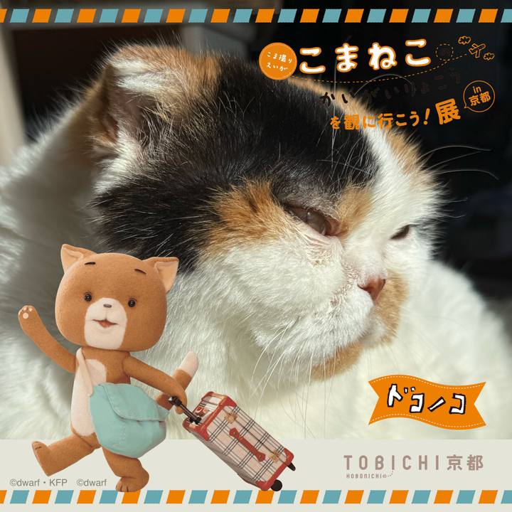 D6f415ac b39a 4e22 a282 b0f37ef661f8 1740192112205