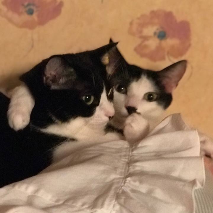 D6f43879 c8ef 4e0c af40 62ebe68e74e0 1532433750315