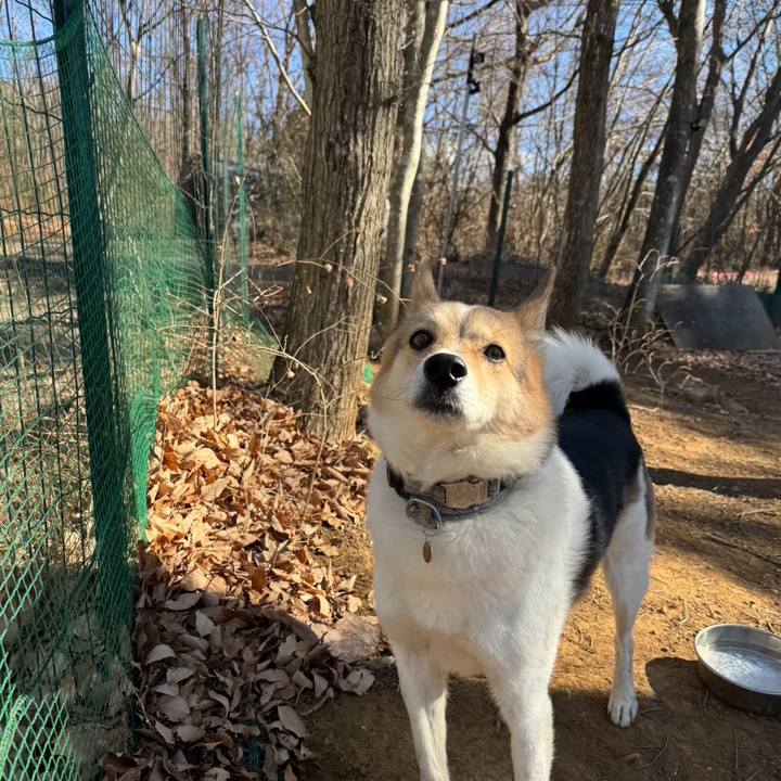 D6f49a1c e170 4230 b254 39fdd2a72f9f 1767410587989