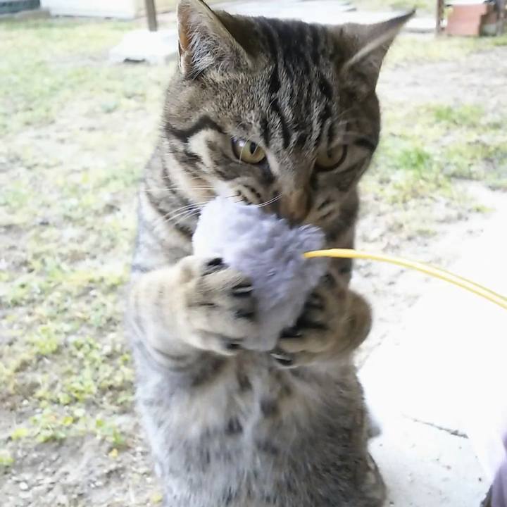 D6f51354 517e 461c b971 4757513e1736 1554277118535