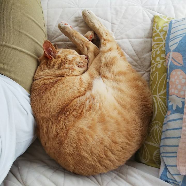 D6f5243f 983c 49a2 81c0 75368e8cf93c 1654315621766