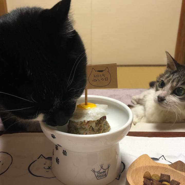 D6f53ed4 5ac3 4902 a389 216523ec1fee 1550802973344