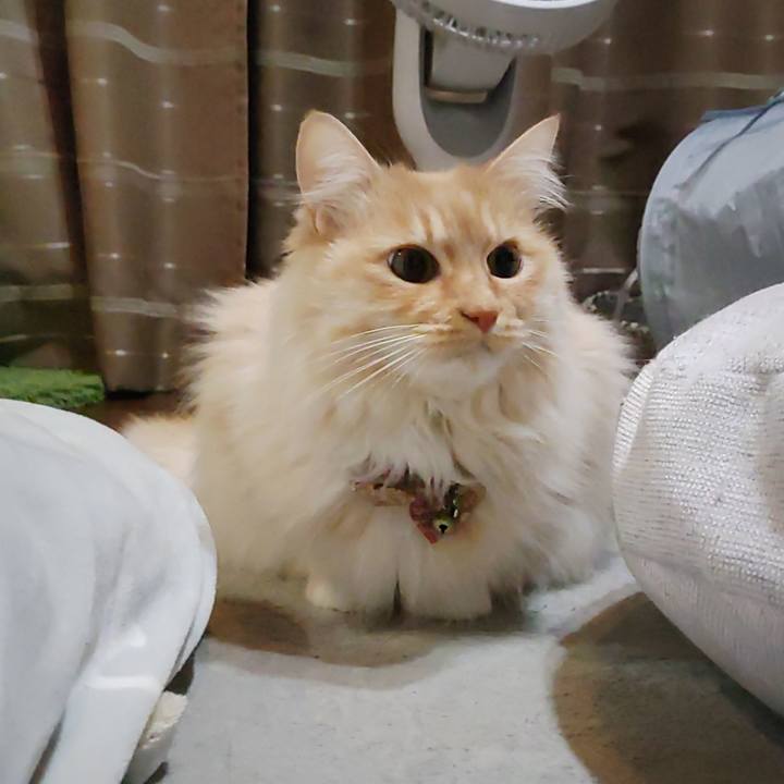 D6f540f8 1014 41e7 8230 60ea46754917 1706478361564