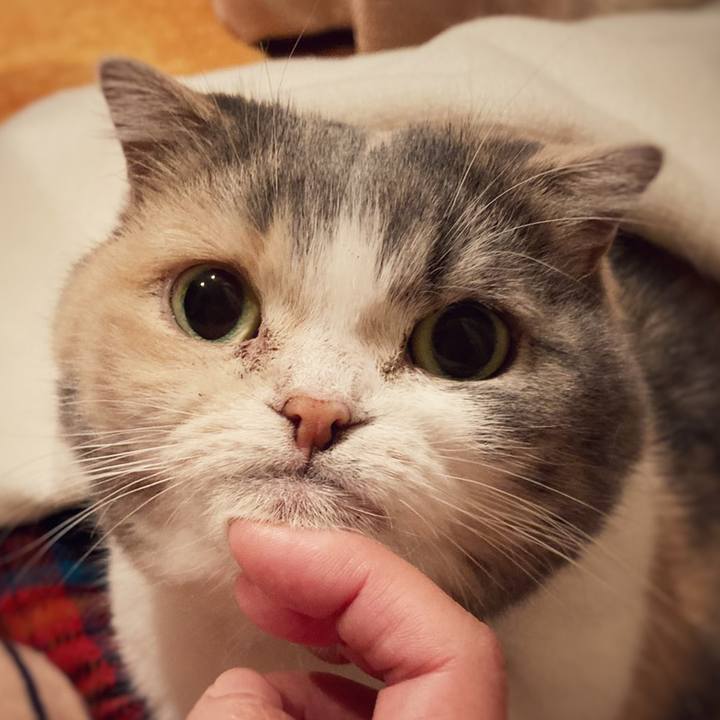 D6f5426f 4ba0 4e42 9113 82bf0571b99e 1603326911898