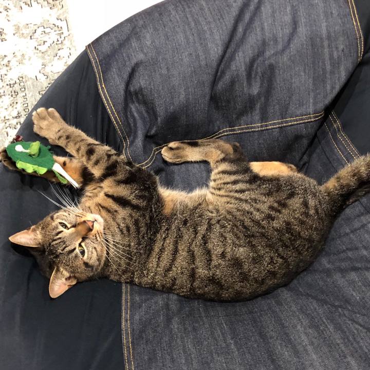 D6f5a203 29a9 4cd3 98a0 d59aae678c28 1528638755696