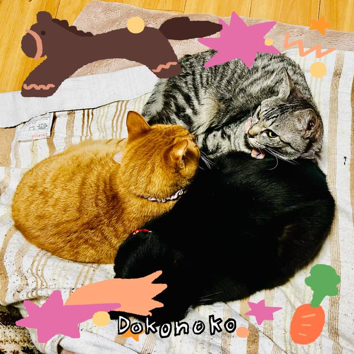 D6f5a8ef eb1d 429d b239 74af01819cf5 1771849368792