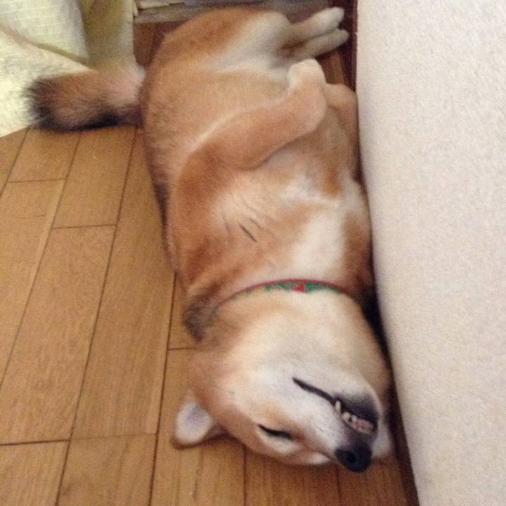 D6f5d9cd f0a8 4a24 b700 b6c6637a42dc 1538902277816