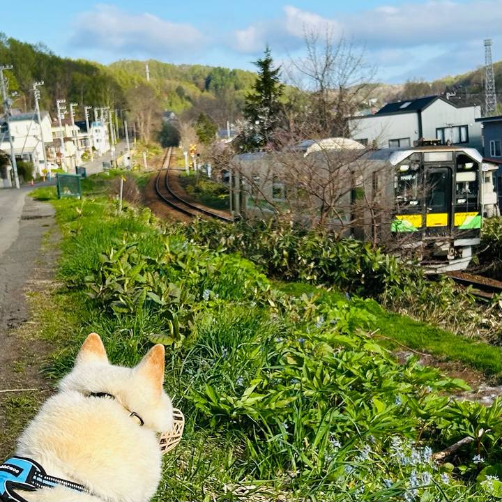 D6f60a5a f7c3 4bc0 8698 3199c5308711 1682979666166