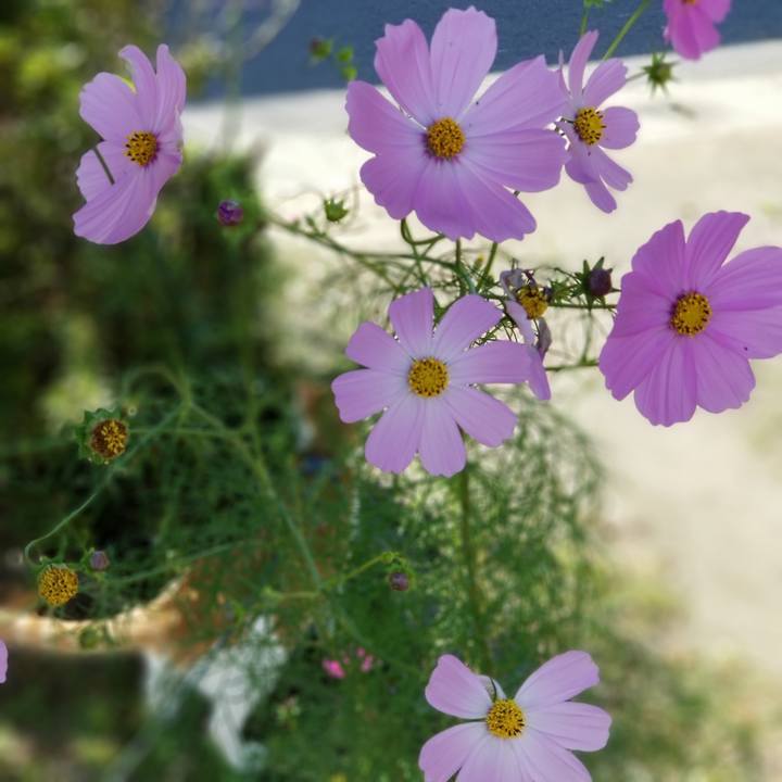 D6f612f3 e41c 4333 8c79 c1d500162685 1538809812106