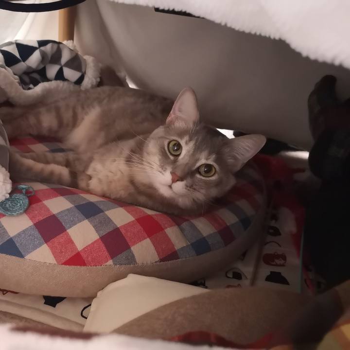 D6f66701 1878 4ad0 8824 bc32001ea831 1579403636026