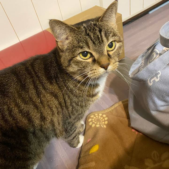 D6f66a19 2ae9 498a a972 214bb927c8bc 1671272547054