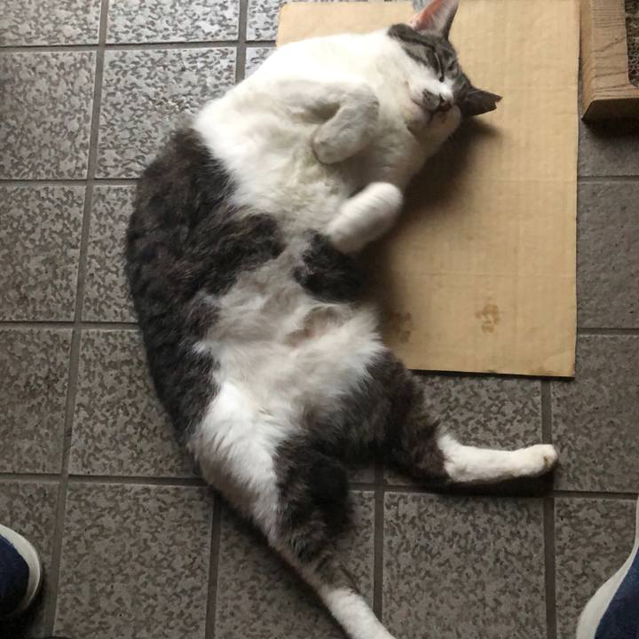 D6f6b586 b648 4302 9c3c 54e6a9d5faf5 1596012249151