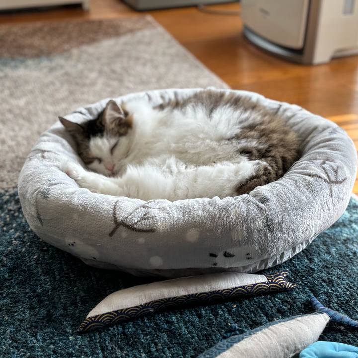 D6f6d49e 6a27 4ee5 869f 94f9cd69f911 1762340167010