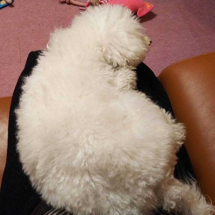 D6f6db41 1709 4421 b447 6a3b9ac6097a 1516959180257