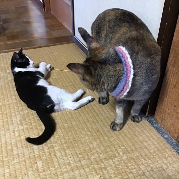 D6f6f68a e0a1 4377 9e8a c17803293312 1626601874311