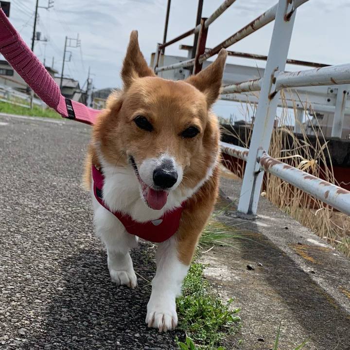 D6f752ff aa2b 4632 b5e4 c3287c602f79 1679890413247