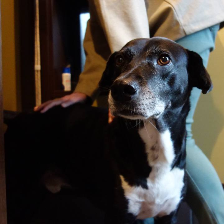 D6f7888f ccda 4bca ae87 b92f9436a2be 1732667199447