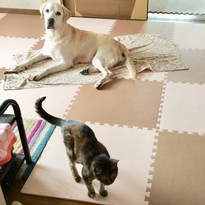 D6f79643 ed11 4cdf bef2 6730e59f63e9 1537930770983