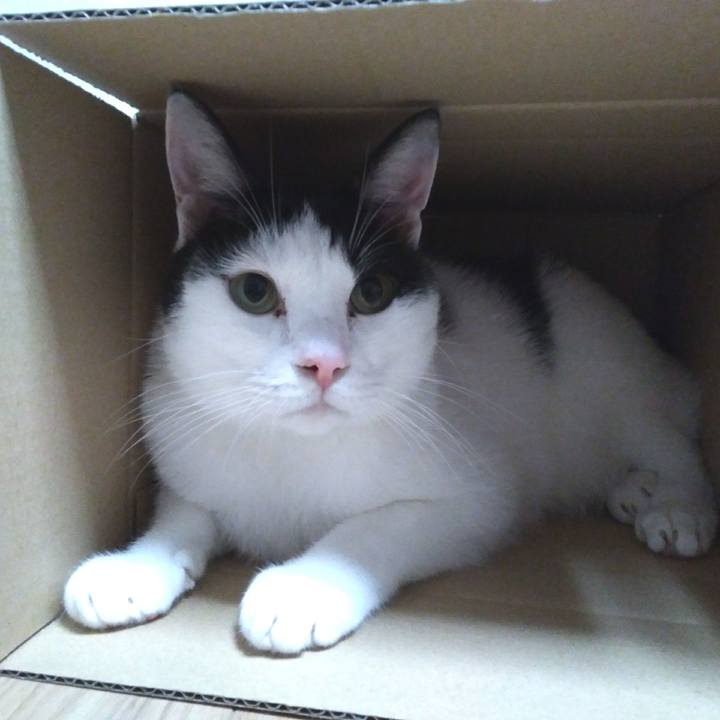 D6f7a064 54c8 49e8 b020 256d7203244b 1541676491865