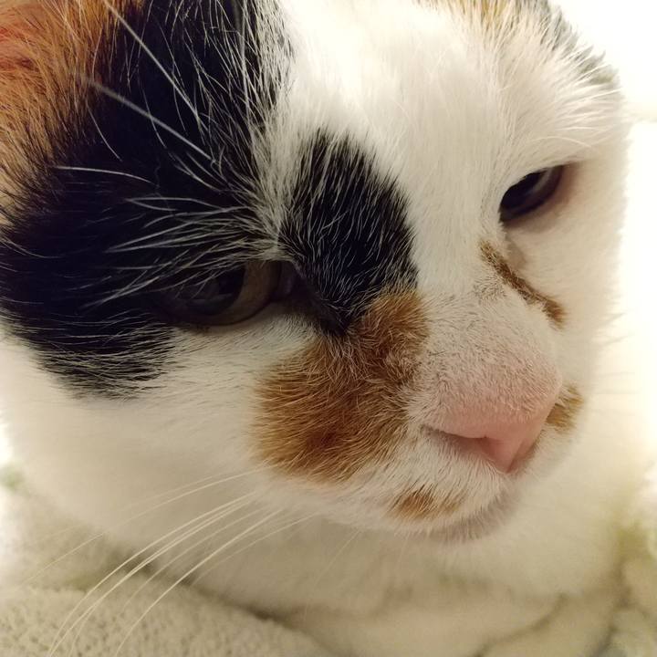 D6f7af86 e2c9 4037 bb6d 4e43970e1a88 1652273208689