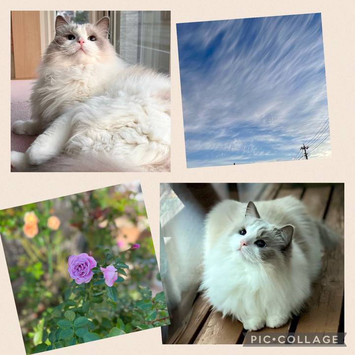 D6f7f911 6cf1 4124 8f2c 1f20c37d5150 1698824594094